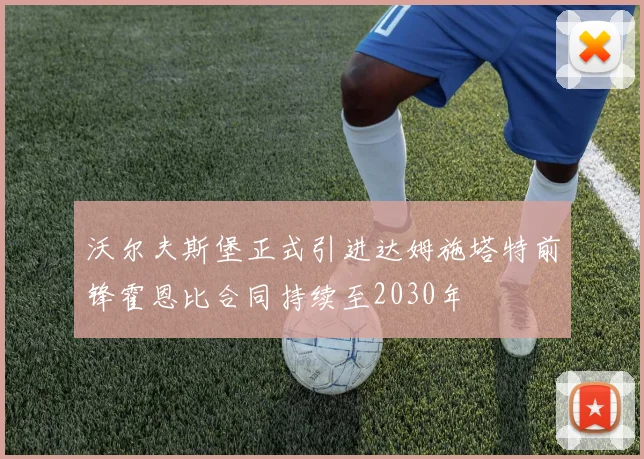 沃尔夫斯堡正式引进达姆施塔特前锋霍恩比合同持续至2030年