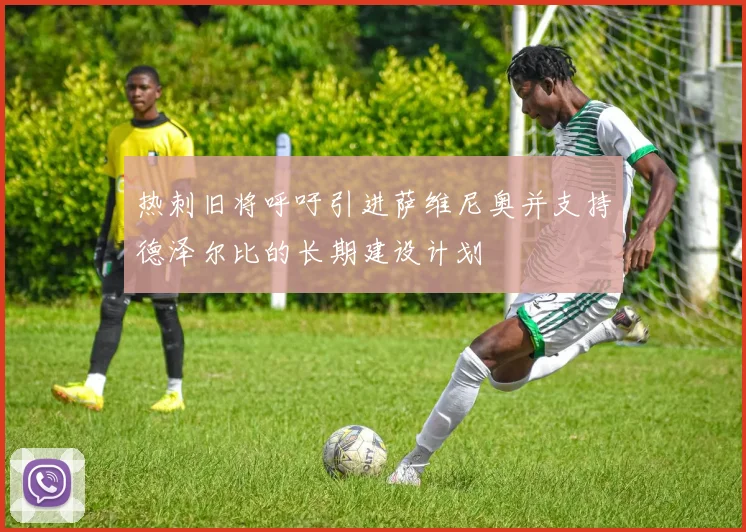 热刺旧将呼吁引进萨维尼奥并支持德泽尔比的长期建设计划